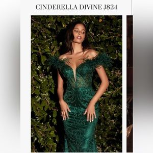 GORGEOUS GREEN FEATHER DRESS